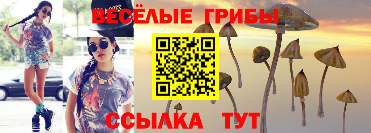 Галлюциногенные грибы MAGIC MUSHROOMS Волжск